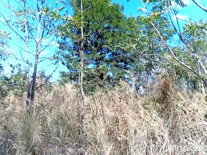 รูป ที่ดินว่างเปล่า 7698 ตร.วา ศรีบุญเรือง หนองบัวลำภู 2.4M - รูปที่ 5/15