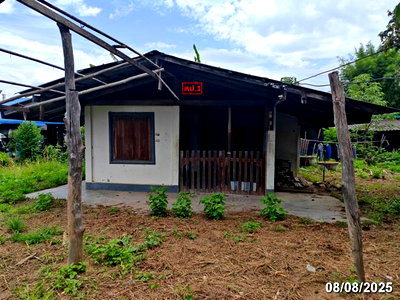 บ้านเดี่ยว เชียงใหม่ : บ้านเดี่ยว 269.5 ตร.วา ฮอด เชียงใหม่ 353,000