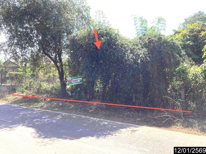 picture LAND 220 Sq.w. Nongkai for 1.5M - 4/21