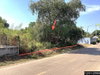 listing thumbnail image 1