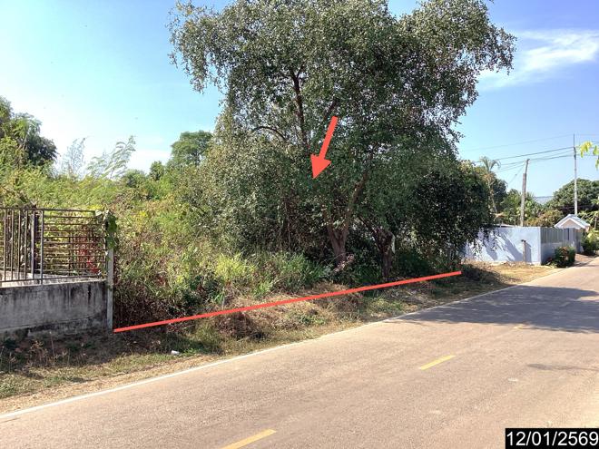 picture LAND 220 Sq.w. Nongkai for 1.5M - 2/21