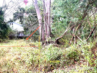ขายที่ดิน : ที่ดินว่างเปล่า 2391 ตร.วา เมืองสกลนคร สกลนคร 6M