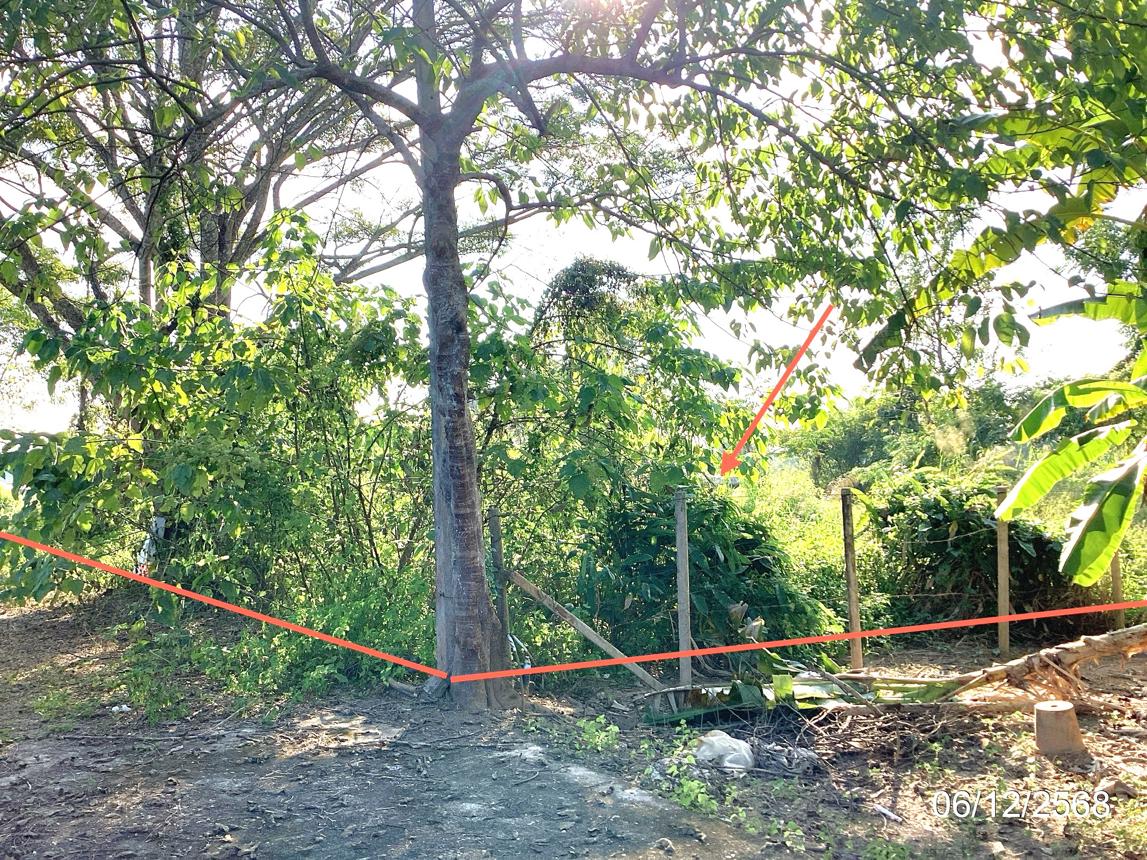 รูป ที่ดินว่างเปล่า 301.4 ตร.วา แม่ลาว เชียงราย 1.1M - รูปที่ 8/17