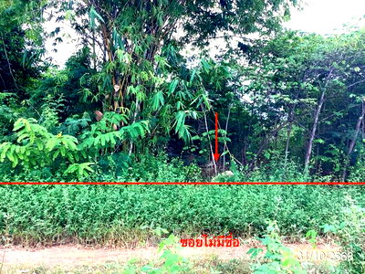 Land for sale : LAND 643.5 Sq.w. Phran Kratai Kamphaeng Phet for 1.2M