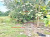listing thumbnail image 15