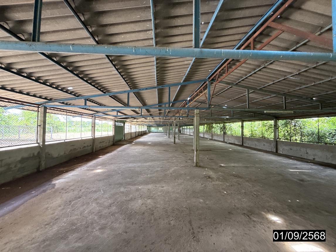 picture FACTORY 1848 Sq.w. Phu Khieo Chaiyaphum for 4.3M - 36/45