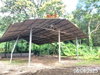listing thumbnail image 17