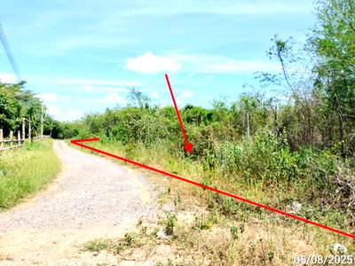 ขายที่ดิน : ที่ดินว่างเปล่า 1980 ตร.วา วังม่วง สระบุรี 3.9M