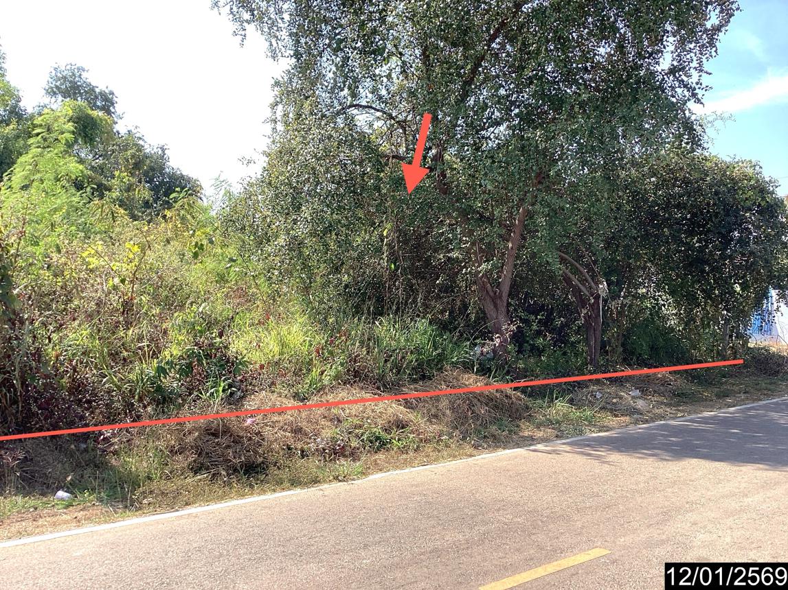 picture LAND 220 Sq.w. Nongkai for 1.5M - 13/21