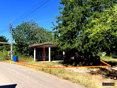 Houses for sale : HOME 217 Sq.w. Thep Sathit Chaiyaphum for 552,000