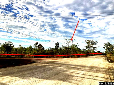 Land for sale : LAND 1613 Sq.w. Akat Amnuai Sakon Nakhon for 2M