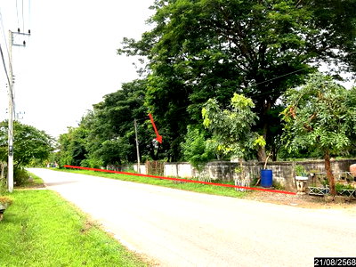 ที่ดิน ศรีบุญเรือง หนองบัวลำภู : ที่ดินว่างเปล่า 1867 ตร.วา ศรีบุญเรือง หนองบัวลำภู 3.6M