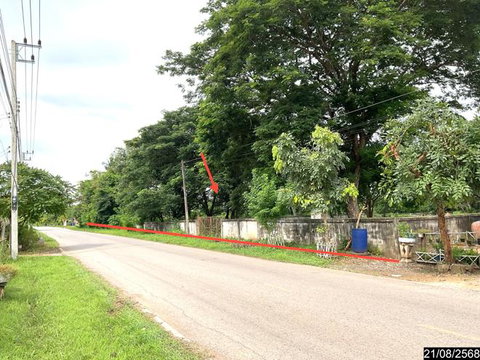 ที่ดินว่างเปล่า 1867 ตร.วา ศรีบุญเรือง หนองบัวลำภู 3.6M