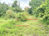 listing thumbnail image 21