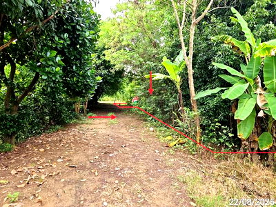 ขายที่ดิน : ที่ดินว่างเปล่า 223 ตร.วา เนินมะปราง พิษณุโลก 714,000