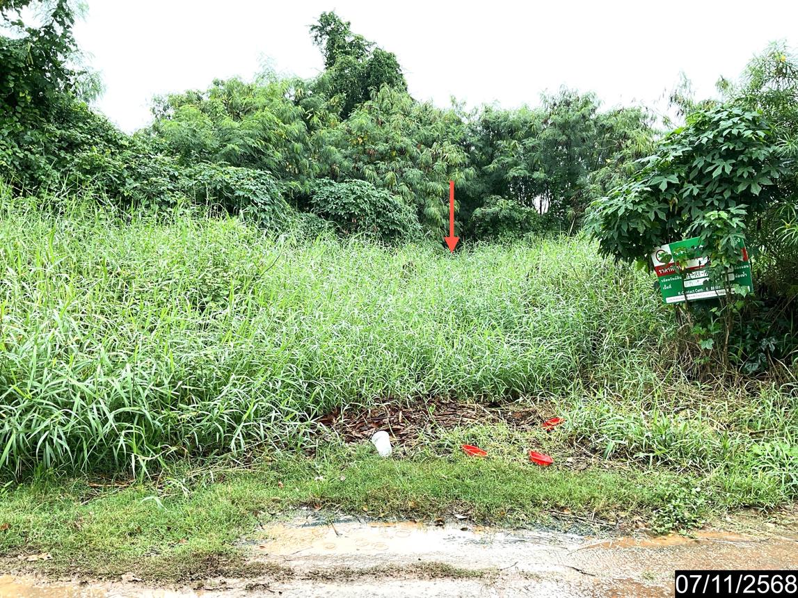 รูป ที่ดินว่างเปล่า 236 ตร.วา เมืองนครราชสีมา นครราชสีมา 5.5M - รูปที่ 14/25