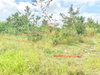 listing thumbnail image 19