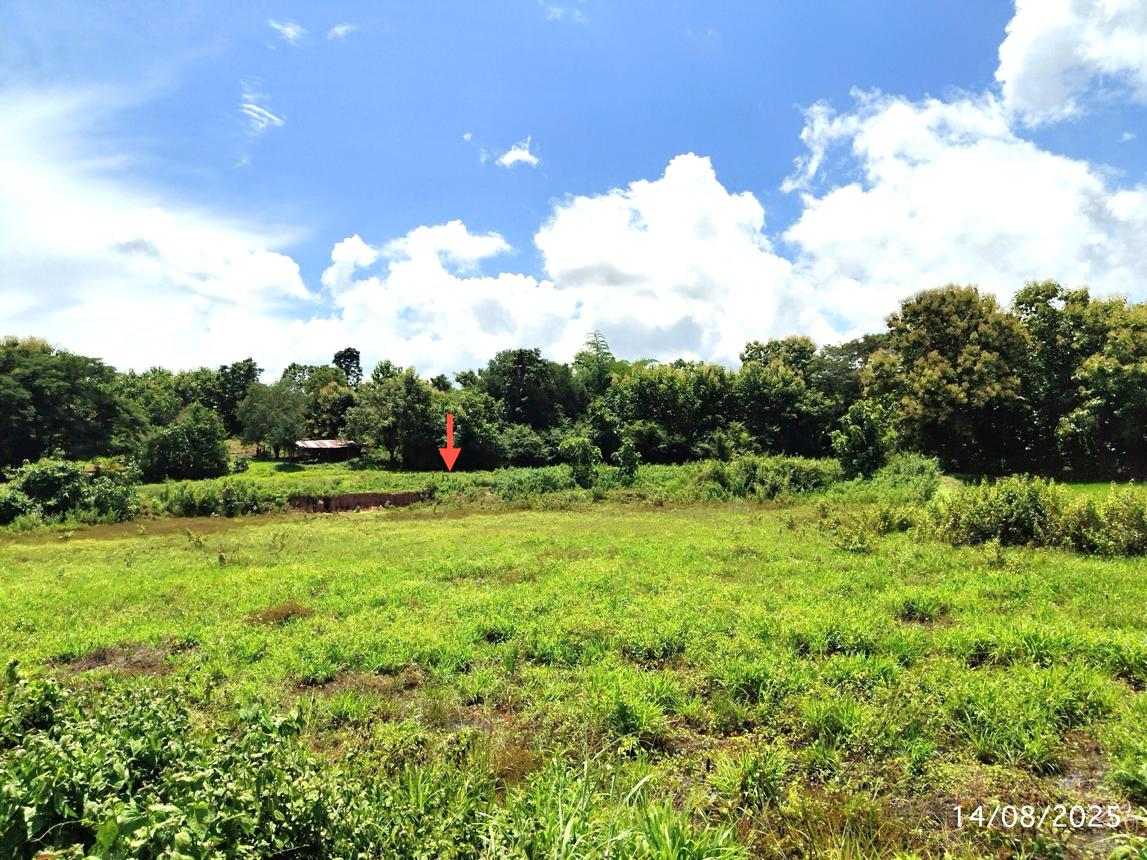 รูป ที่ดินว่างเปล่า 6108 ตร.วา ฟากท่า อุตรดิตถ์ 2.1M - รูปที่ 12/17