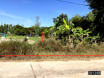 ขายที่ดิน : ที่ดินว่างเปล่า 2620 ตร.วา สมเด็จ กาฬสินธุ์ 1.3M