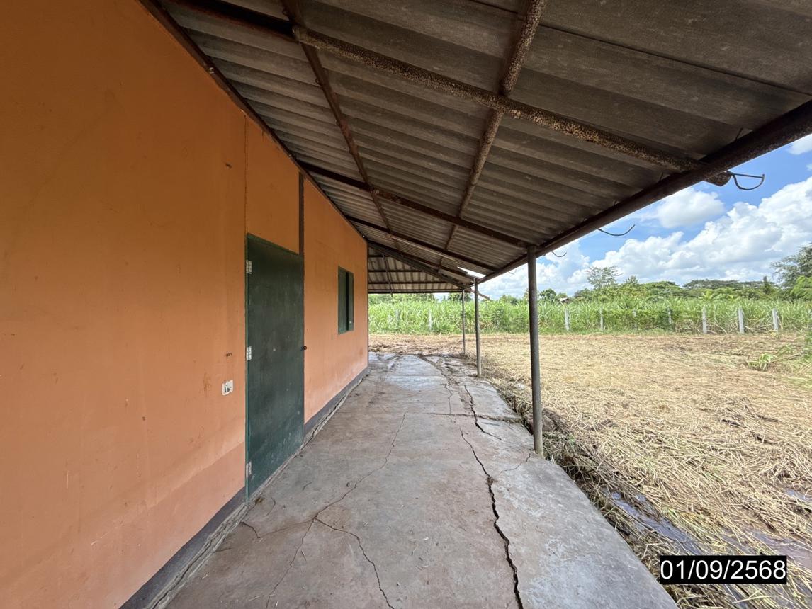 picture FACTORY 1848 Sq.w. Phu Khieo Chaiyaphum for 4.3M - 25/45