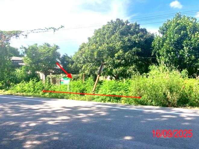 รูป บ้านเดี่ยว 247 ตร.วา ป่าซาง ลำพูน 768,000 - รูปที่ 14/33
