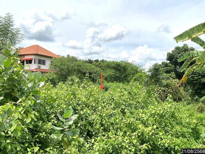 รูป ที่ดินว่างเปล่า 801 ตร.วา ศรีบุญเรือง หนองบัวลำภู 1.1M - รูปที่ 6/15