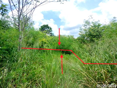 ขายที่ดิน : ที่ดินว่างเปล่า 238 ตร.วา วังม่วง สระบุรี 418,000