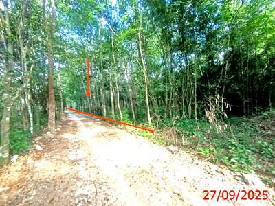 ขายที่ดิน : ที่ดินว่างเปล่า 285 ตร.วา เมืองสงขลา สงขลา 852,000