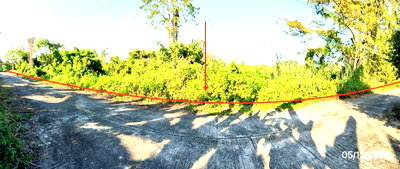 Land for sale : LAND 1200 Sq.w. Mae Lao Chiang Rai for 5.9M