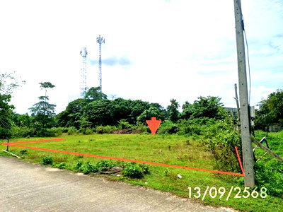 ขายที่ดิน : ที่ดินว่างเปล่า 157.2 ตร.วา ทุ่งสง นครศรีธรรมราช 2.1M