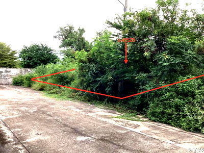 ที่ดิน ปราณบุรี ประจวบคีรีขันธ์ : ที่ดินว่างเปล่า 250 ตร.วา กรีนปาร์ค ปราณบุรี ประจวบคีรีขันธ์ 2.3M