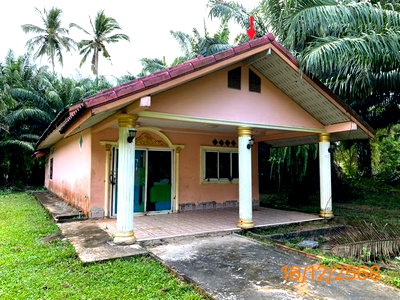 บ้านเดี่ยว กระบี่ : บ้านเดี่ยว 2418.9 ตร.วา คลองท่อม กระบี่ 2.7M