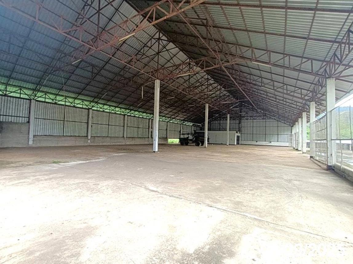 รูป โกดัง 2632 ตร.วา ขุนยวม แม่ฮ่องสอน 11.8M - รูปที่ 23/45