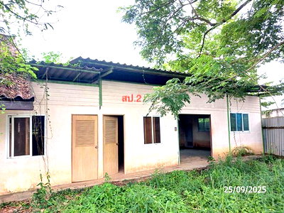 บ้านเดี่ยว เชียงใหม่ : บ้านเดี่ยว 500 ตร.วา สารภี เชียงใหม่ 2.8M