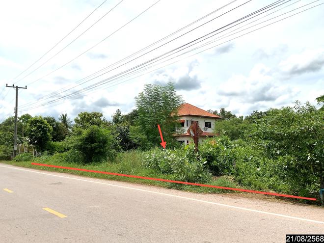 รูป ที่ดินว่างเปล่า 801 ตร.วา ศรีบุญเรือง หนองบัวลำภู 1.1M - รูปที่ 1/15