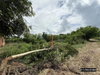 listing thumbnail image 40