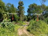 listing thumbnail image 39
