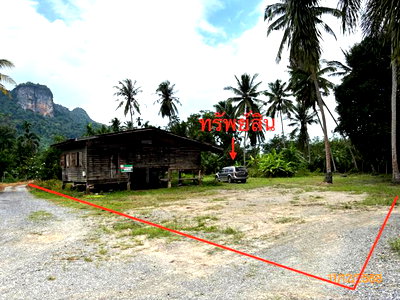 Houses for sale Surat Thani : HOME 416 Sq.w. Kanchanadit Surat Thani for 858,000