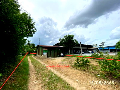 ขายที่ดิน : ที่ดินว่างเปล่า 727.8 ตร.วา รัตภูมิ สงขลา 8M