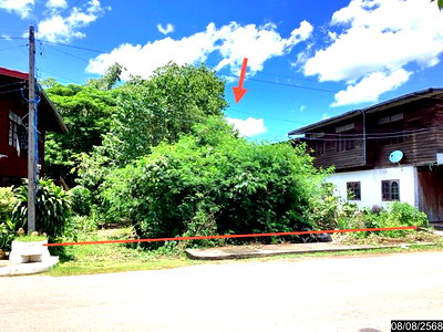 ขายที่ดิน : ที่ดินว่างเปล่า 2956 ตร.วา นากลาง หนองบัวลำภู 5M