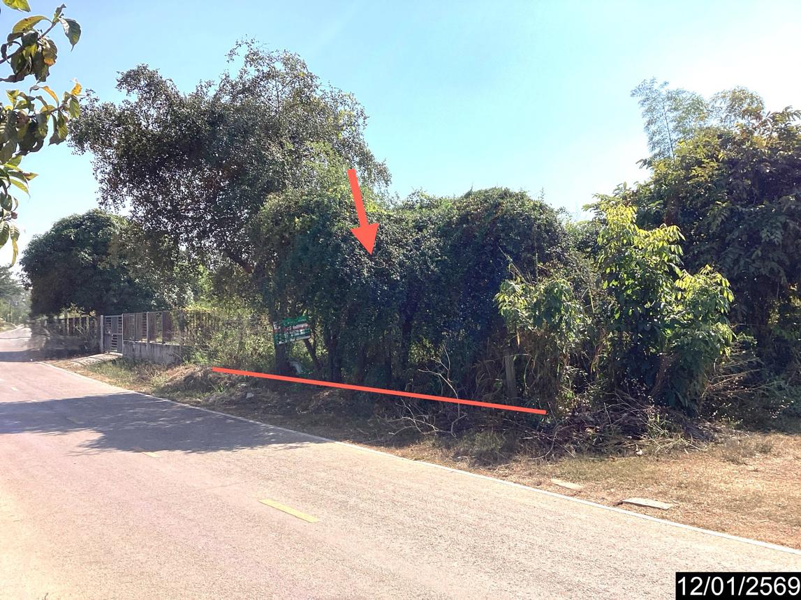 picture LAND 220 Sq.w. Nongkai for 1.5M - 10/21