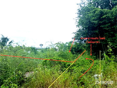 ขายที่ดิน : ที่ดินว่างเปล่า 759 ตร.วา พรานกระต่าย กำแพงเพชร 806,000