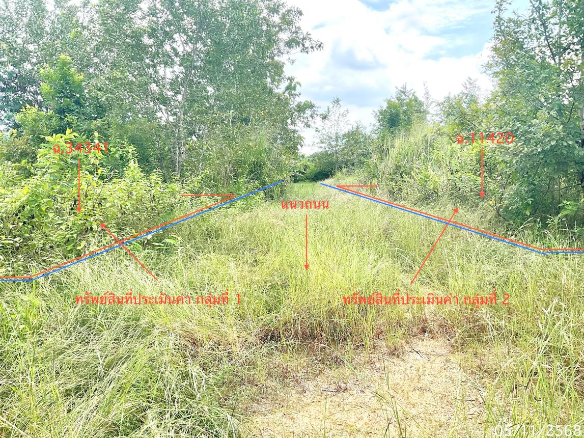 รูป ที่ดินว่างเปล่า 308 ตร.วา ปราณบุรี ประจวบคีรีขันธ์ 1.2M - รูปที่ 17/25