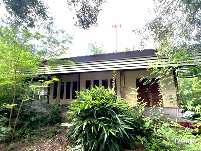 Houses for sale : HOME 446 Sq.w. Tha Tako Nakhon Sawan for 1.4M