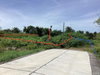 listing thumbnail image 10