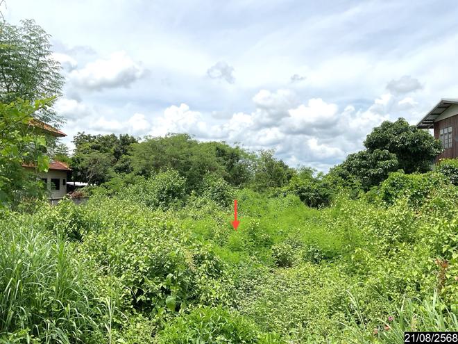 รูป ที่ดินว่างเปล่า 801 ตร.วา ศรีบุญเรือง หนองบัวลำภู 1.1M - รูปที่ 4/15