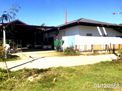 บ้านเดี่ยว เชียงราย : บ้านเดี่ยว 262 ตร.วา เชียงของ เชียงราย 3.9M