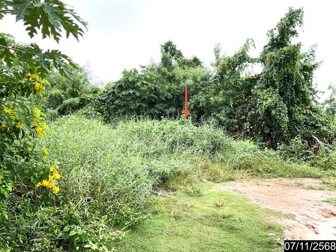 รูป ที่ดินว่างเปล่า 236 ตร.วา เมืองนครราชสีมา นครราชสีมา 5.5M - รูปที่ 5/25