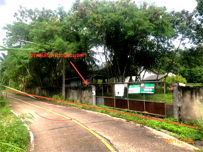 Houses for sale Surat Thani : HOME 1200 Sq.w. Muang Surat Thani Surat Thani for 11.2M