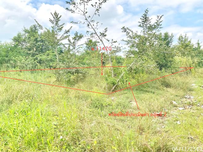 รูป ที่ดินว่างเปล่า 308 ตร.วา ปราณบุรี ประจวบคีรีขันธ์ 1.2M - รูปที่ 10/25